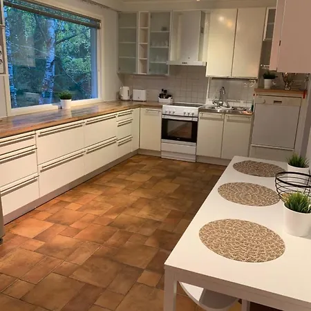 Huvilat Naerhi 230 M2 Upea Talo Rauhallisella Alueella *